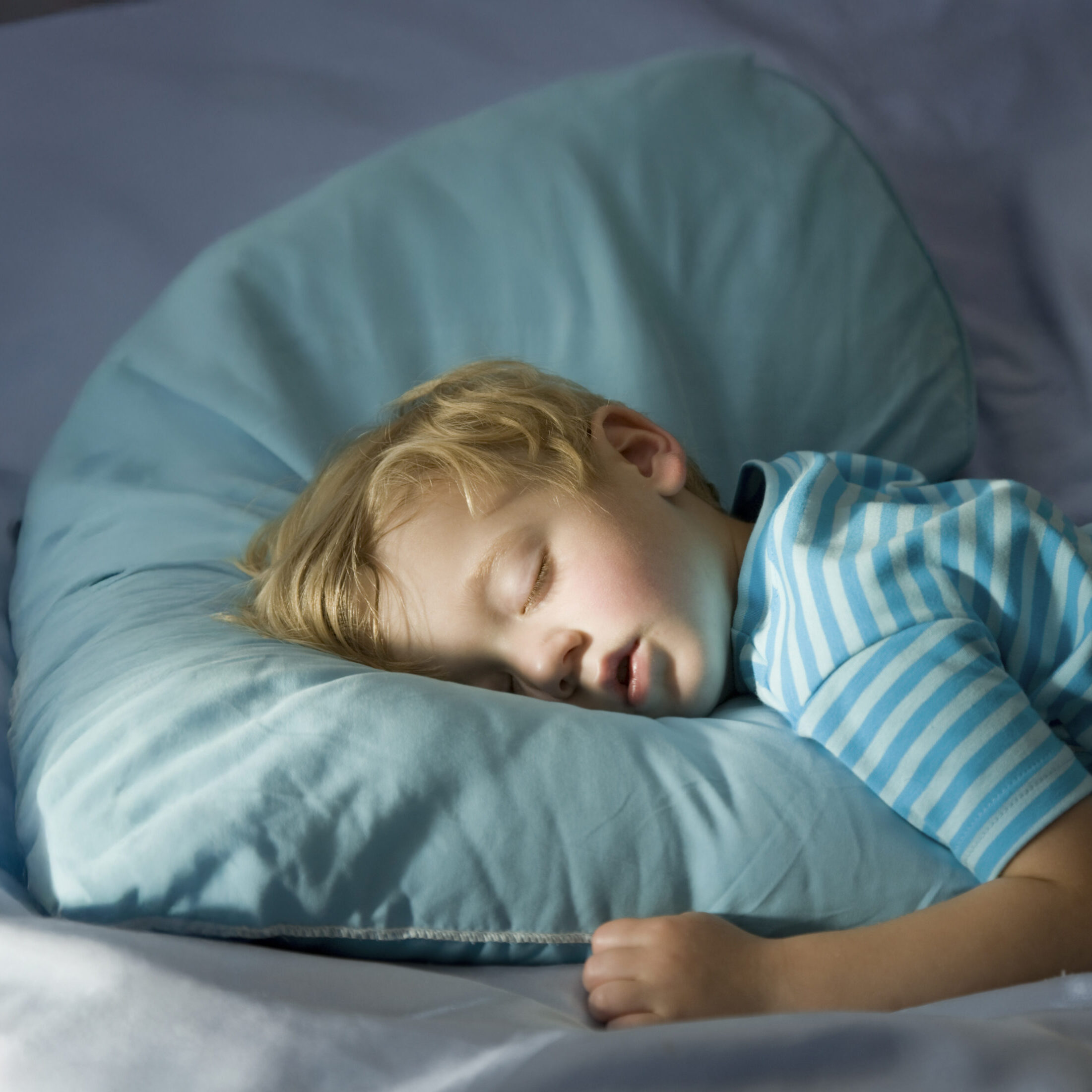 little kid airway ortho albany guilderland 